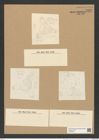 Triceratium notabile Grev. (de-Toni-Nr.: Genus 140, Species 3952) Zeichnungen Sammlung Grunow Nr. 7432 (NHMW-BOT-W0376516)